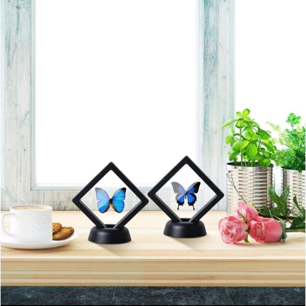 4 Display Frames